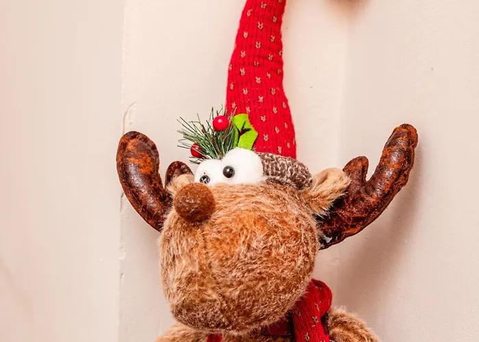 Cozy In Center بلغراد